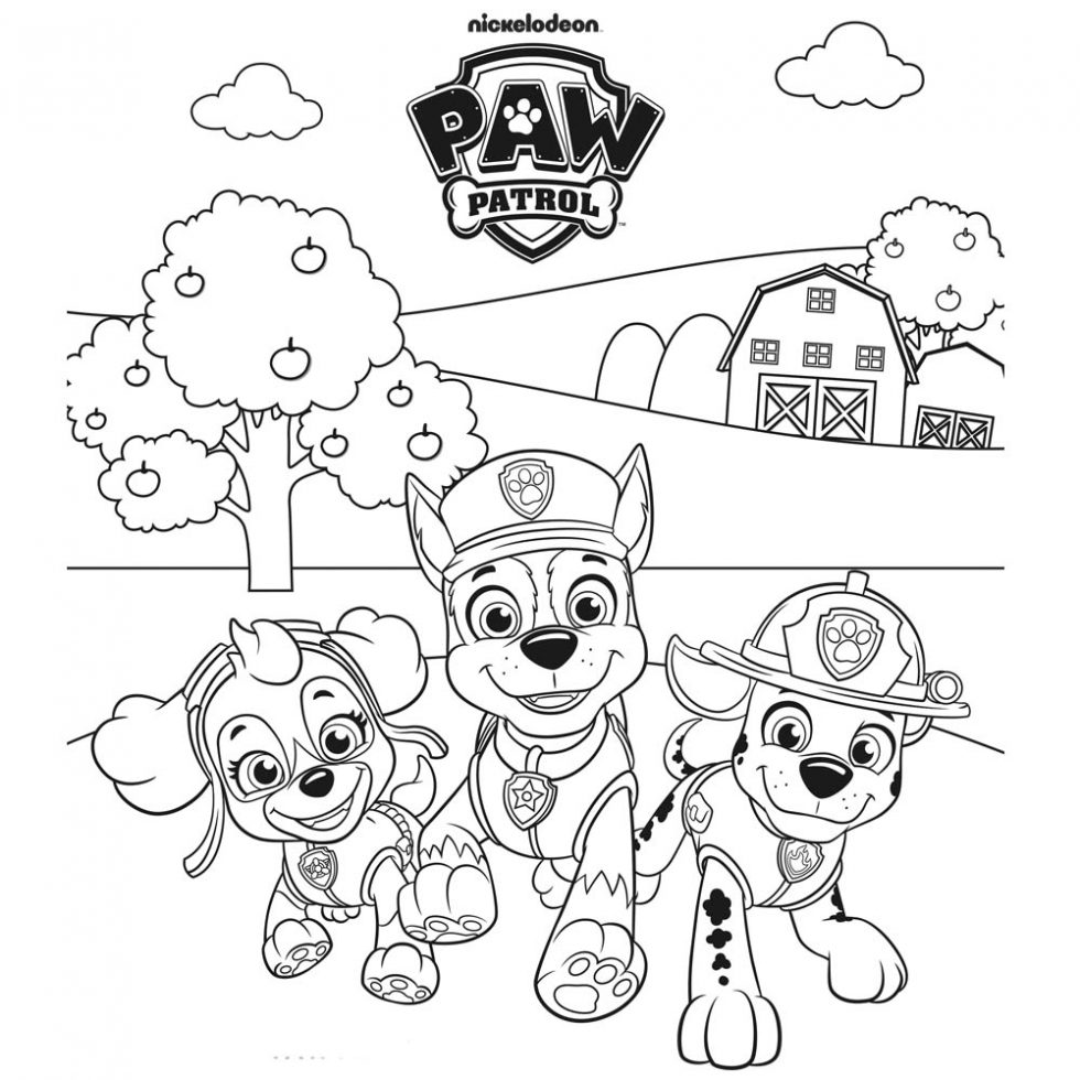 Paw Patrol Coloreates